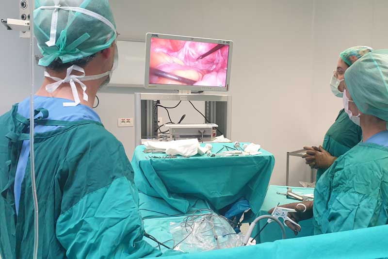 Gebelik-ve-Doğum-Yönetimi-(Obstetrik)​-Op-Dr-Ali-Metin-Celep Genel Jinekoloji